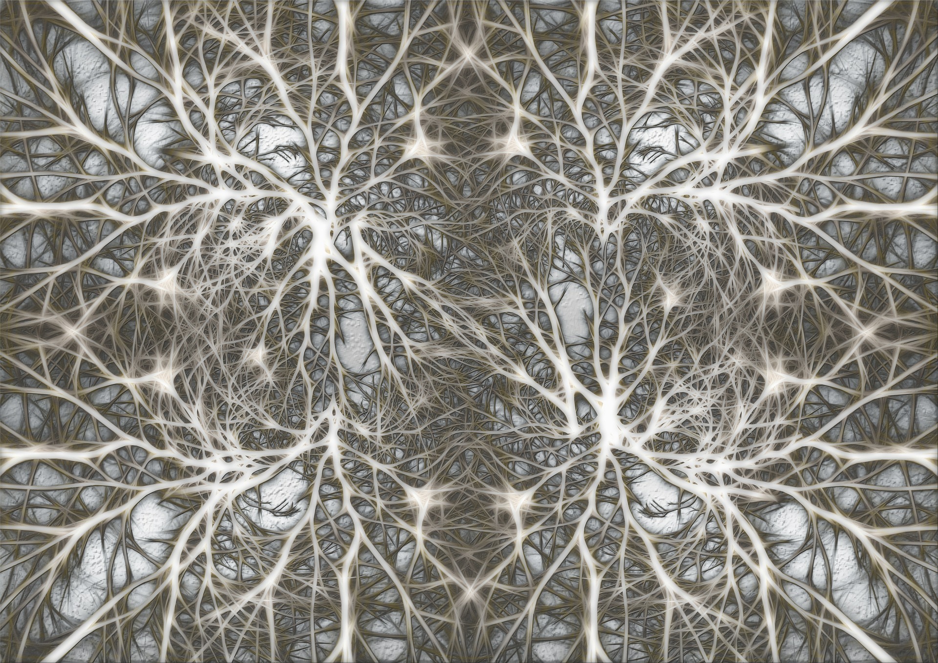 Hypocretin Neurons: The Link Between Fasting, Stress, and Arousal, or, Why Fasting Breeds Insomniacs