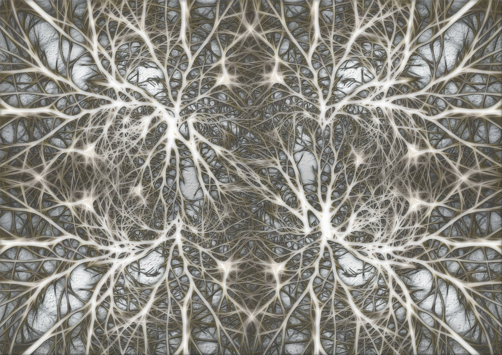 Hypocretin Neurons: The Link Between Fasting, Stress, and Arousal, or, Why Fasting Breeds Insomniacs