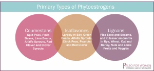 Primary types of phytoestrogens