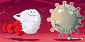 Probiotics.org knows what's what.