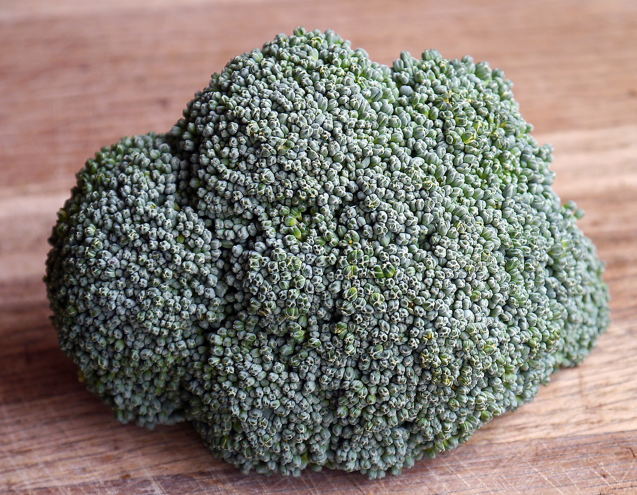 This Week in Paleo: The Liver and Your Hormones