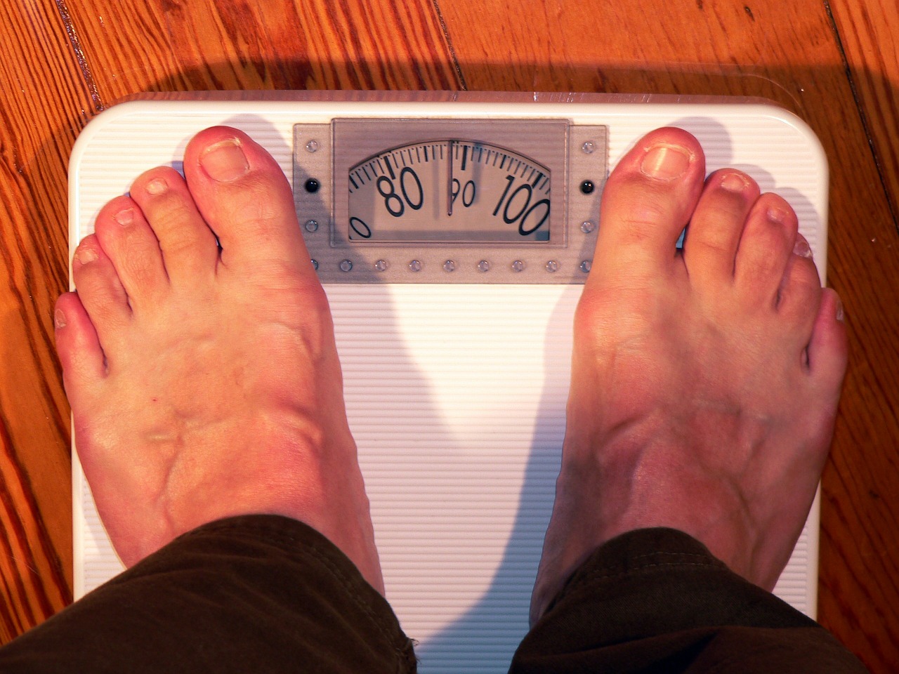 New science on fat shaming
