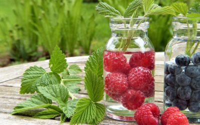 Why Balanced Hydration is Important