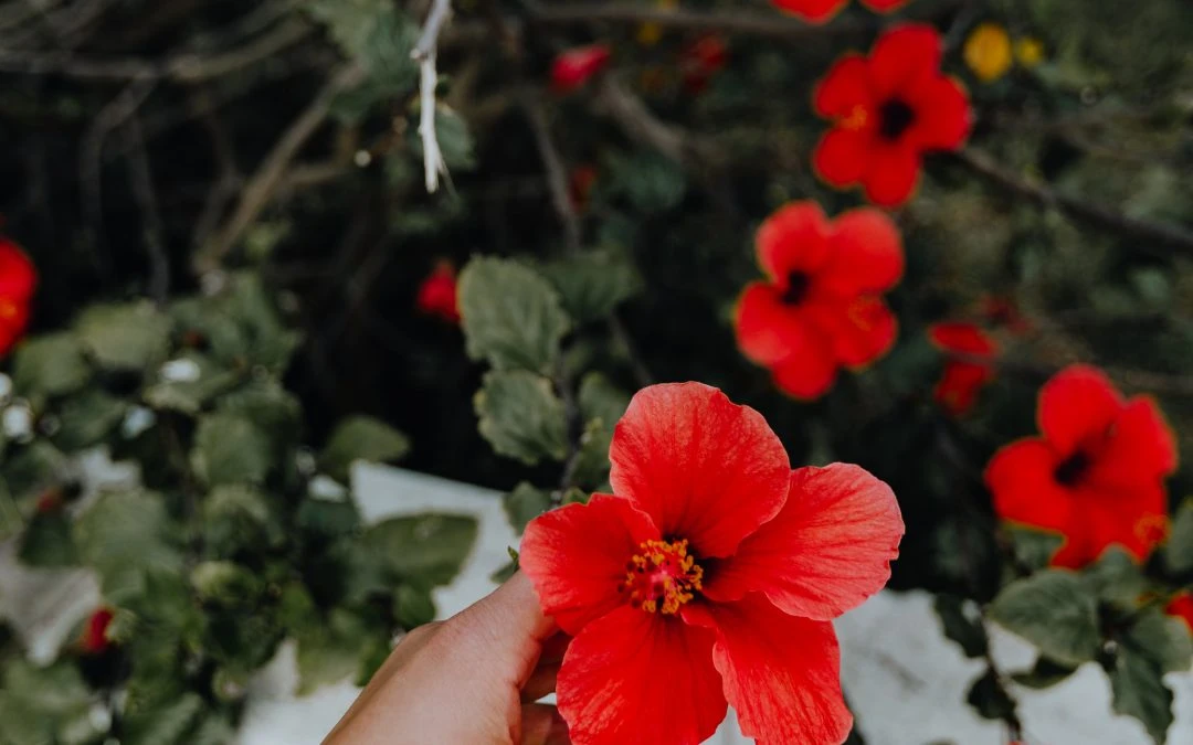 8 Ways to Celebrate your Body This Summer