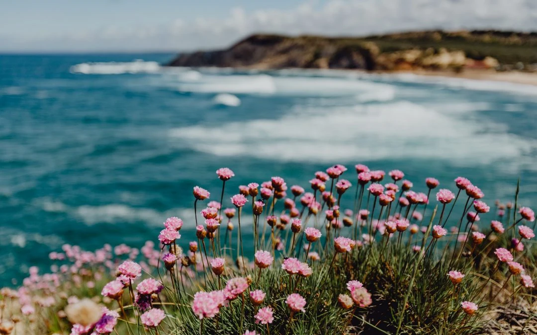How to Use Summer to Achieve Your Weight Loss Goals